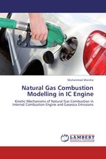 Natural Gas Combustion Modelling in IC Engine