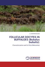 FOLLICULAR OOCYTES IN BUFFALOES (Bubalus bubalis):