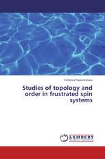 Studies of topology and order in frustrated spin systems