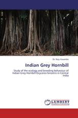 Indian Grey Hornbill