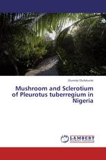 Mushroom and Sclerotium of Pleurotus tuberregium in Nigeria