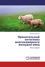 Пренатальный онтогенез многокамерного желудка овец