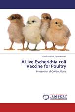 A Live Escherichia coli Vaccine for Poultry