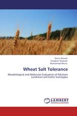 Wheat Salt Tolerance