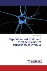 Hypoxia on rat brain and therapeutic use of superoxide dismutase