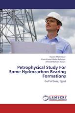 Petrophysical Study For Some Hydrocarbon Bearing Formations