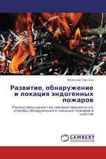 Развитие, обнаружение и локация эндогенных пожаров