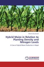 Hybrid Maize in Relation to Planting Density and Nitrogen Levels