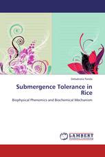 Submergence Tolerance in Rice