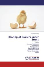 Rearing of Broilers under Stress