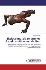 Skeletal muscle co-enzyme A and carnitine metabolism