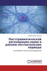 Посттравматической регенерации нерва в раннем постнатальном периоде
