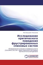 Исследование критического поведения фрустрированных спиновых систем