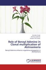 Role of Benzyl Adenine in Clonal multiplication of Alstroemeria