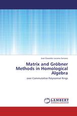 Matrix and Gröbner Methods in Homological Algebra