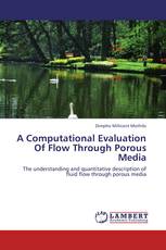 A Computational Evaluation Of Flow Through Porous Media