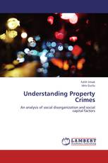 Understanding Property Crimes
