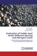 Evaluation of fodder beet  Under Different Spacing and Nitrogen Levels