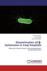 Dissemination of β-lactamases in Iraqi hospitals