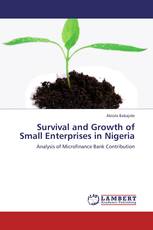 Survival and Growth of Small Enterprises in Nigeria