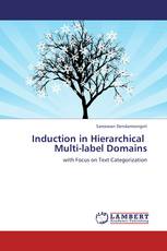 Induction in Hierarchical Multi-label Domains