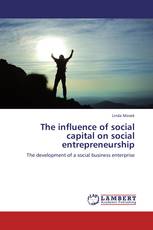 The influence of social capital on social entrepreneurship