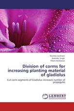 Division of corms for increasing planting material of gladiolus