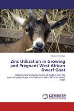 Zinc Utilization in Growing and Pregnant West African Dwarf Goat