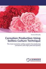 Carnation Production Using Soilless Culture Technique