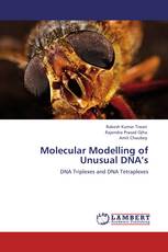 Molecular Modelling of Unusual DNA’s