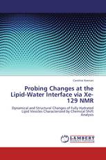 Probing Changes at the Lipid-Water Interface via Xe-129 NMR