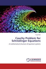 Cauchy Problem for Schrödinger Equations