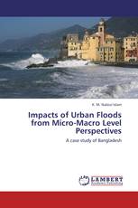 Impacts of Urban Floods from Micro-Macro Level Perspectives