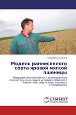 Модель раннеспелого сорта яровой мягкой пшеницы