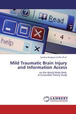Mild Traumatic Brain Injury and Information Access