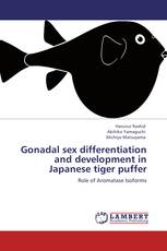Gonadal sex differentiation and development in Japanese tiger puffer