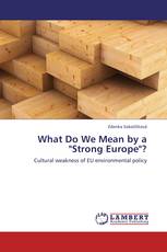 What Do We Mean by a "Strong Europe"?