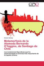 Metamorfosis de la Alameda Bernardo O’higgins, de Santiago de Chile