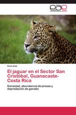 El jaguar en el Sector San Cristóbal, Guanacaste-Costa Rica