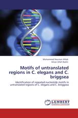 Motifs of untranslated regions in C. elegans and C. briggsea