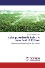 Cylas puncticollis Boh. : A New Pest of Cotton