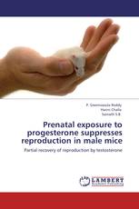 Prenatal exposure to progesterone suppresses reproduction in male mice