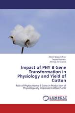 Impact of PHY B Gene Transformation in Physiology and Yield of Cotton