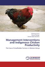 Management Interventions and Indigenous Chicken Productivity