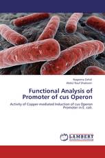 Functional Analysis of Promoter of cus Operon