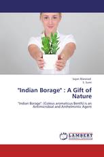 "Indian Borage" : A Gift of Nature