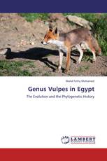 Genus Vulpes in Egypt