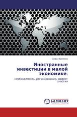 Иностранные инвестиции в малой экономике: