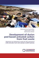 Development of durian peel-based activated carbon from fruit waste