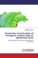 Production & Evaluation of Transgenic Lettuce with an Aphidicidal Gene